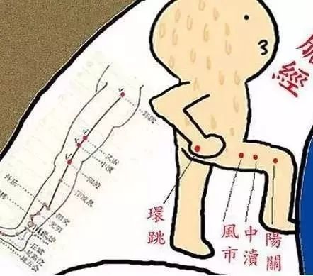 胆经的奥秘