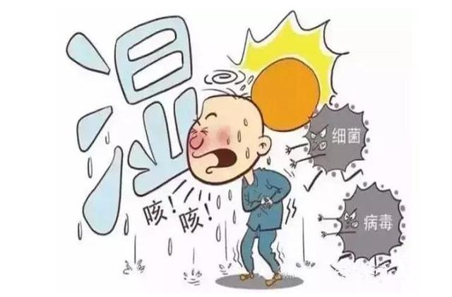 热兼湿,对皮肤本身有一定的刺激,如果再有脾虚的问题,则体内的湿邪