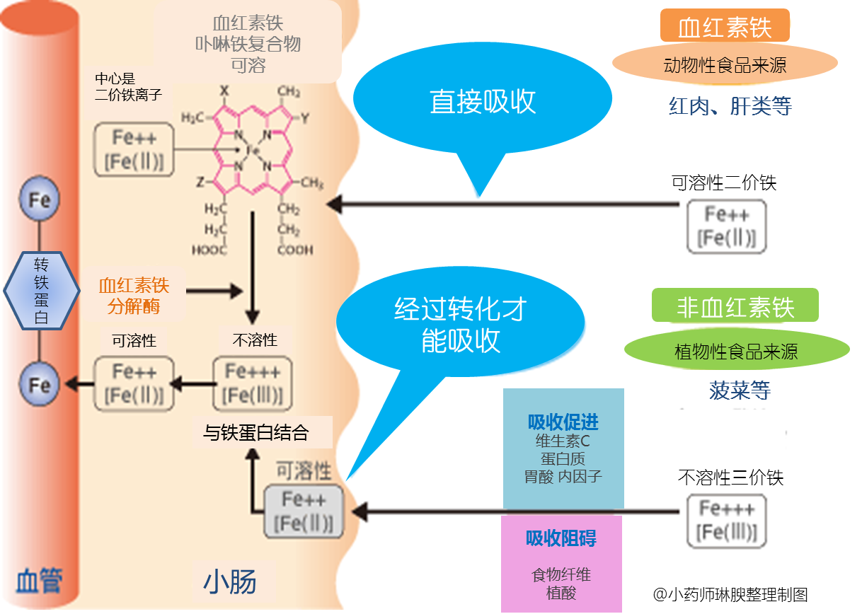 怎样补铁才有效?别被这些产品坑了