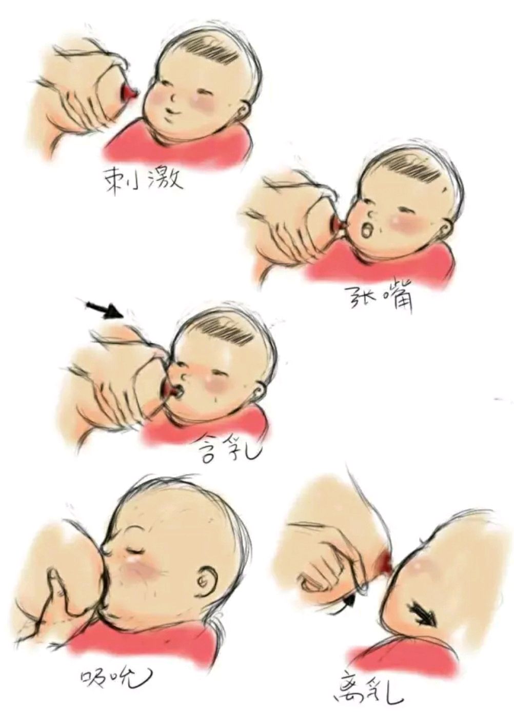 图解助您成功母乳喂养