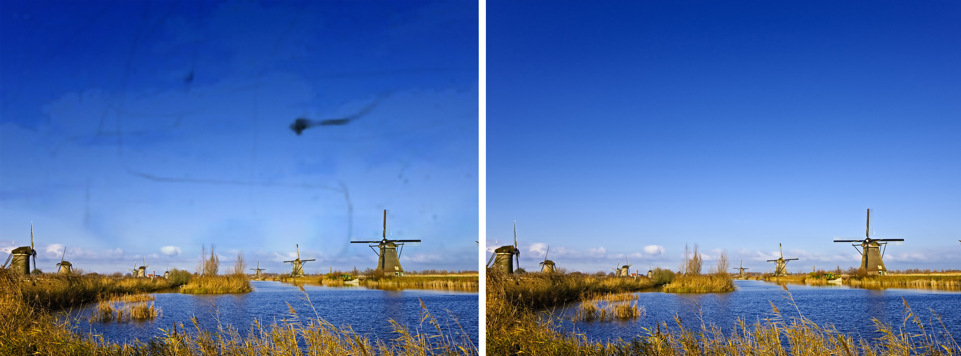 飞蚊症跟高度近视组cp?网友:能不能放过我的眼睛