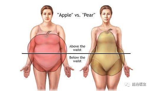 你是苹果还是梨邀请你身边胖子对号入座吧