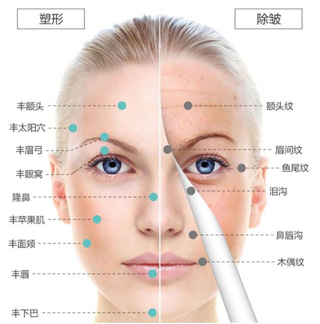 面部填充点位图图片