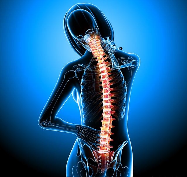 所以在久坐人群日常生活当中应该如何保护我们的颈椎腰椎呢?