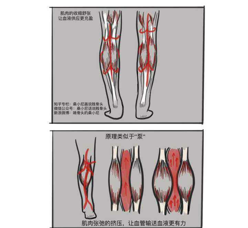 那么多膝关节损伤,一个直抬腿就全能治好?