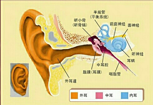 鼓膜内陷怎么办