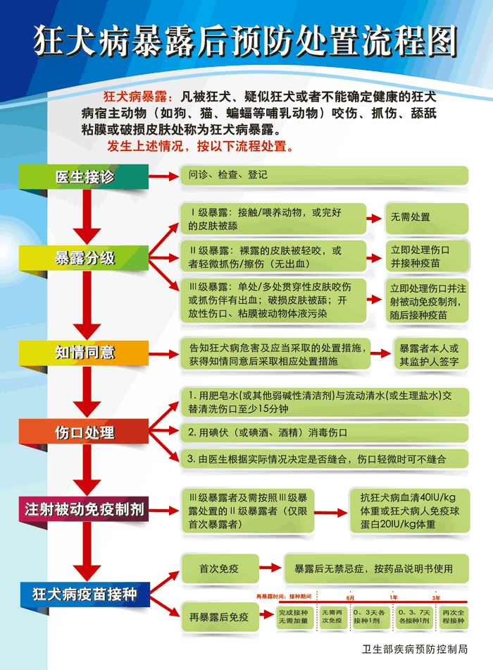 最好遵循中国疾病预防控制中心制定的咬伤后处置流程(见下图)