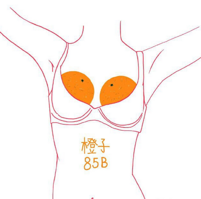 不要在abcd了现如今流行这样的水果胸