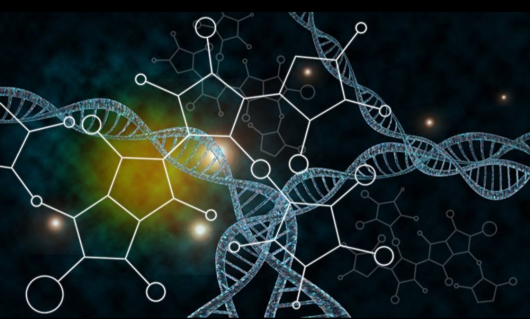 遗传学与反复植入失败(rif)