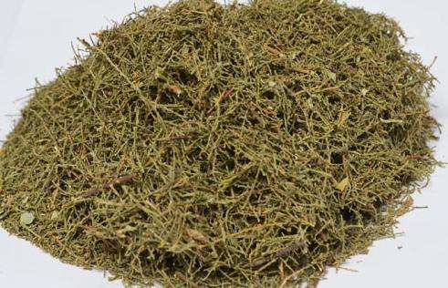 每天介绍一味中草药辛温解表类之十----西河柳