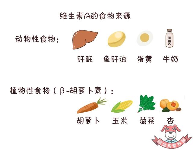 維生素別再瞎補,瞭解完這些維生素科普知識再說!