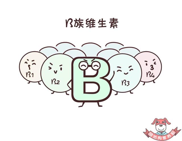 维生素别再瞎补,了解完这些维生素科普知识再说!