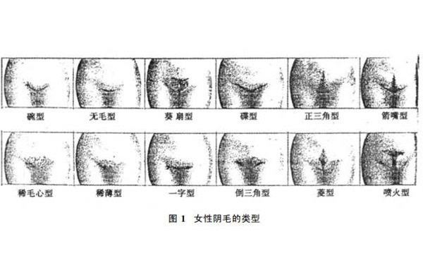 大猪蹄子问女人那里的毛毛越多代表性欲越强答案竟是