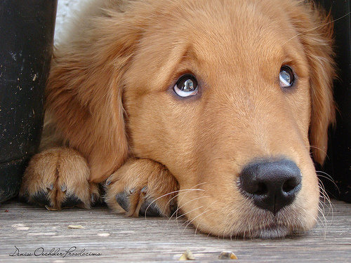 这回宫外孕第六个!十九岁!