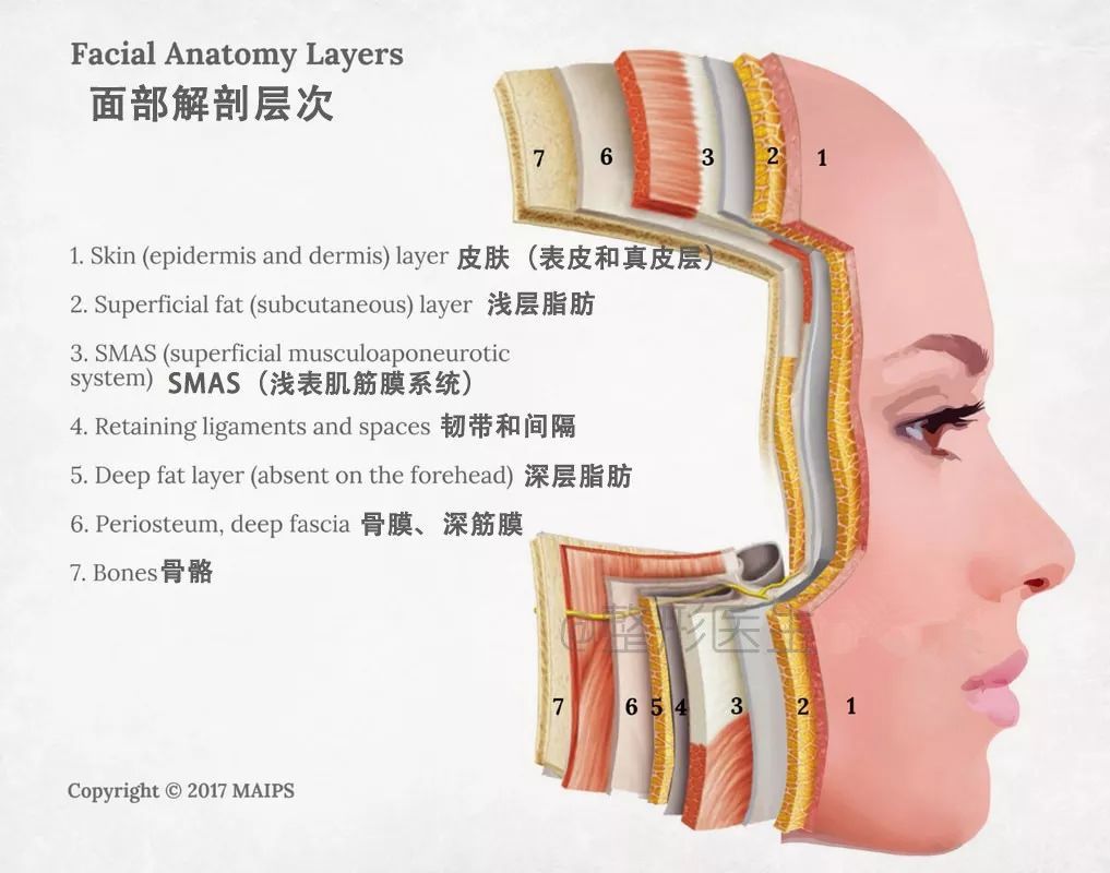 十个问题,看清"面部线雕"!