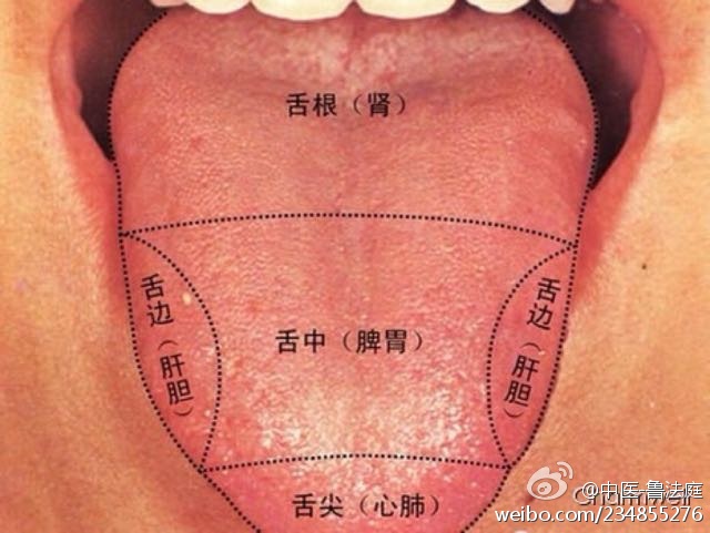 舌苔图片及病症图片