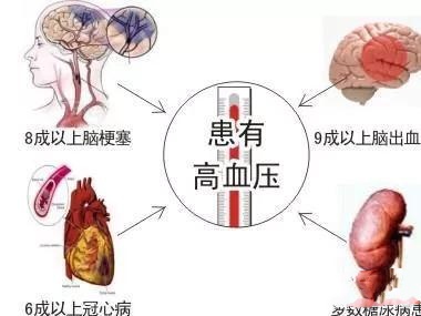 解读抽筋猪品种