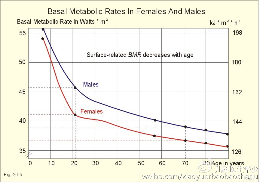 人体基础代谢率图片