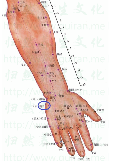 8104054887.jpg blob.png