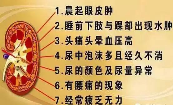 慢性肾病症状及危害慢性肾病一般分为原发性与继发性两种.