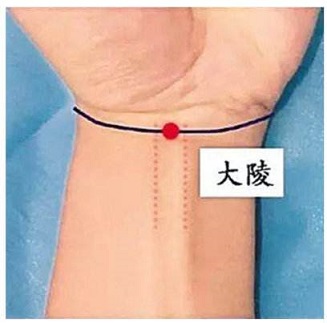 大陵穴.jpg