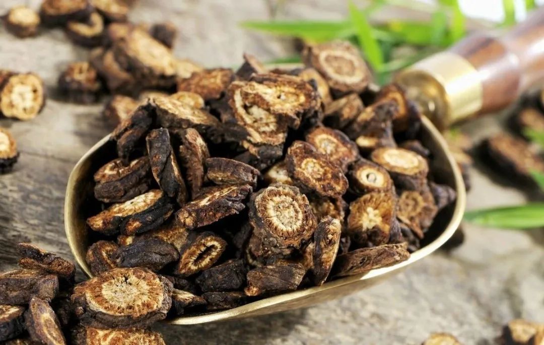 冬季难过疼痛难忍当归拈痛汤是良方