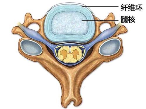 腰椎病年輕化覺醒吧年輕人別忘了給你的脊柱減減壓