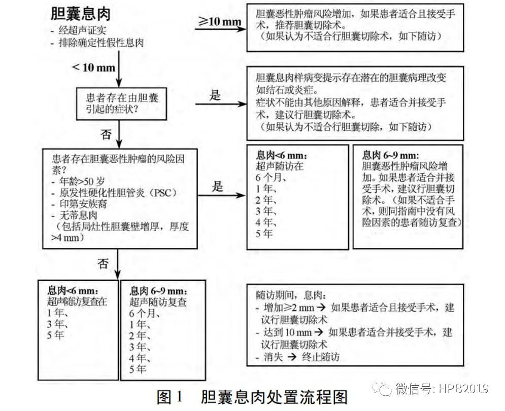 发现胆囊息肉怎么办 段斌炜副主任医师 爱问医生