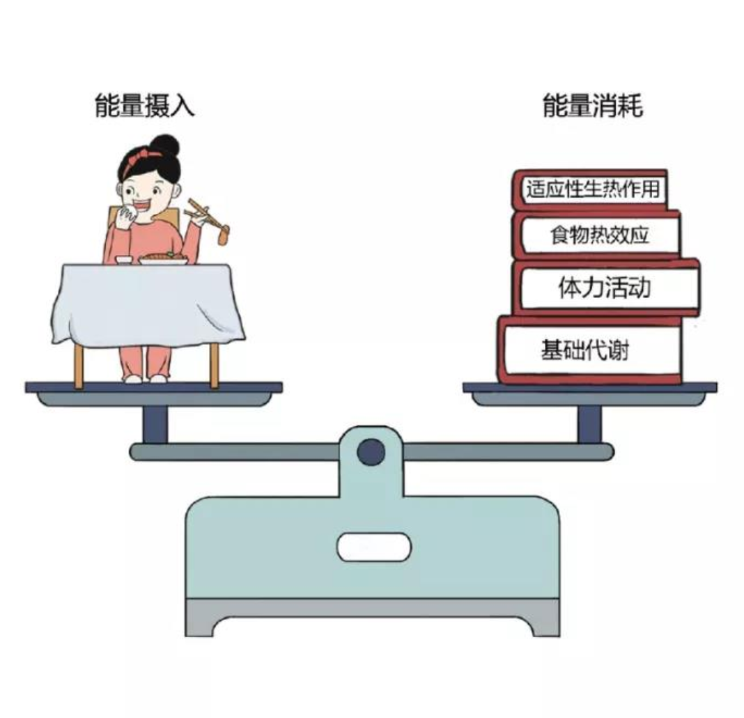 相反,消瘦是能量摄入不足或能量消耗增加的具体体现,也会影响人体的