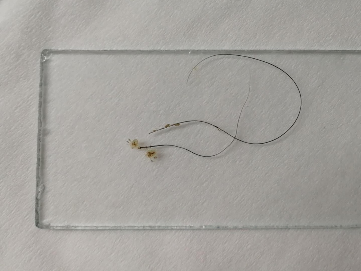 下面好痒是谁在把你撩