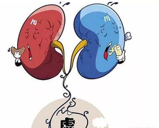 伤肾大合集-杨桢主任医师-爱问医生