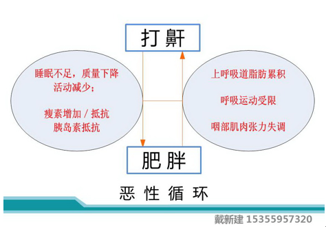 恶性循环的关系众所周知(见图5),因此治疗打鼾可使减肥变得容易,反之