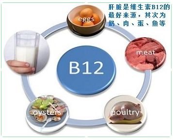 维生素b12在体内如何代谢?