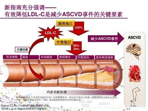 他汀是怎么降低血脂呢?