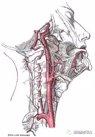 经常头晕 是时候查查您的颈动脉 章建飞主治医师 爱问医生