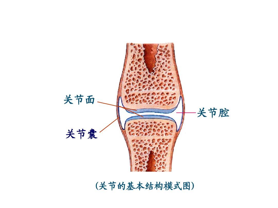 湘雅医院成功完成中国南区首例国产机器人膝关节置换辅助手术|膝关节置换术|湘雅医院|辅助系统|膝关节|机器人|首例|置换|辅助|手术|-健康界