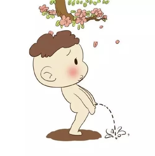 尿道下裂术后家长最关心的问题在这