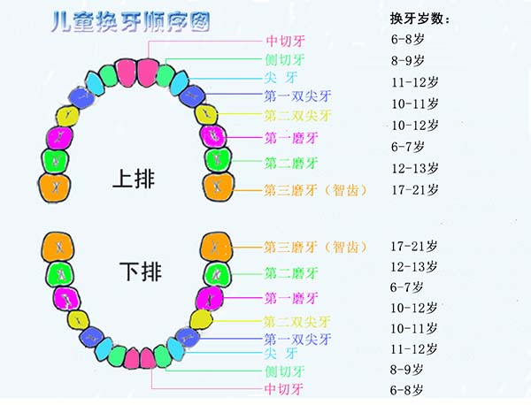 儿童的换牙顺序及注意事项