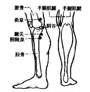 人體有兩條重要的經絡,連接著臀部和大腦,這便是膀胱經和督脈.