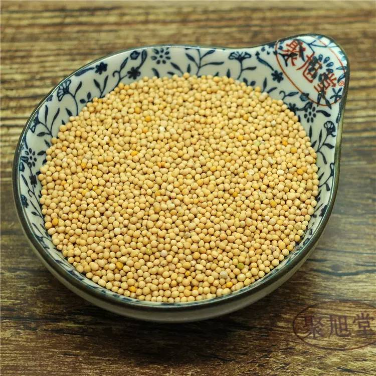 古代统称为齑(jī),古人也是吃完芥末发现呛鼻子,才总结白芥子功效:归