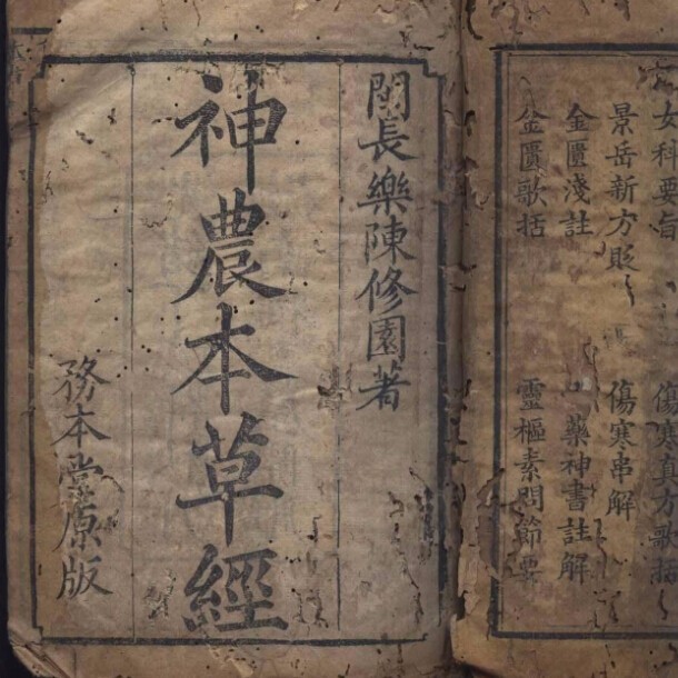 第九章:谈谈如何学中药(下)