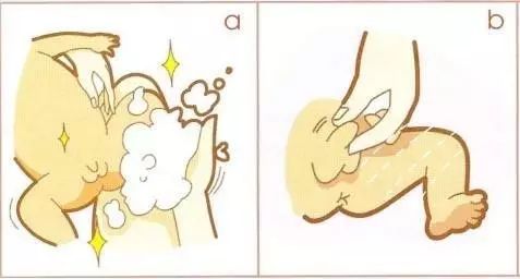 丁丁的正确清洗方法!学起来!