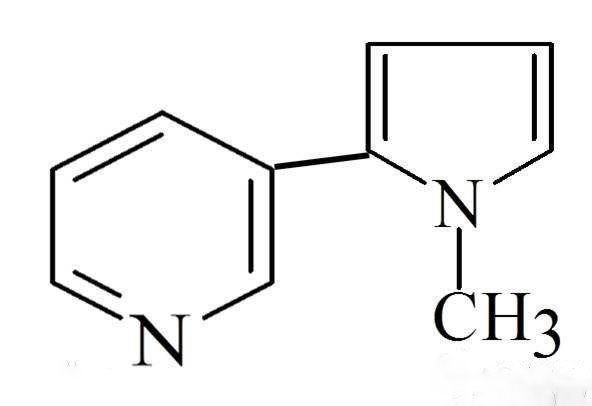 尼古丁化学式图片