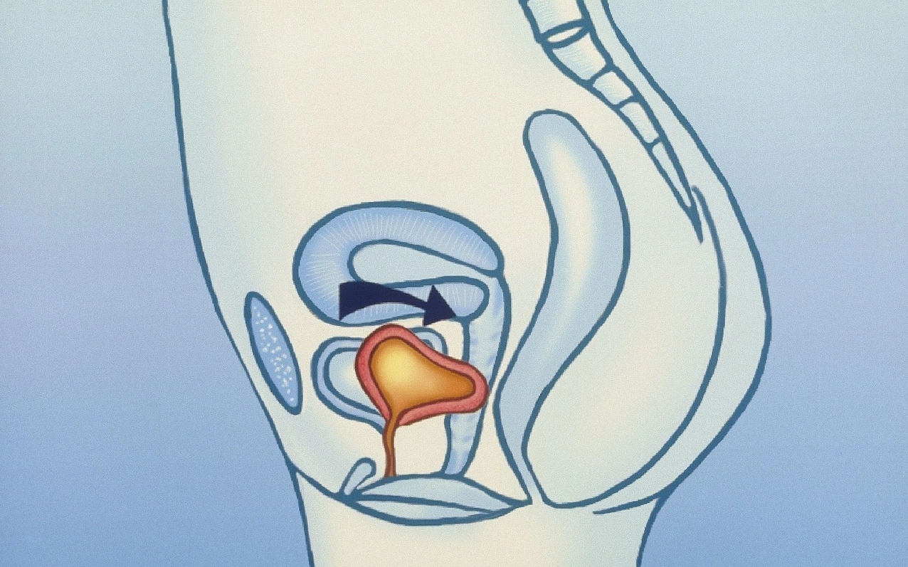 李旭东_主任医师_爱问健康