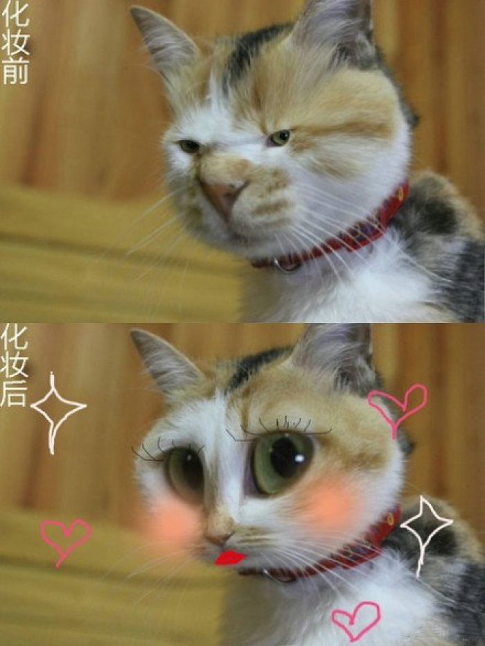 你看看怎么办? 我看了一下:满脸的化妆品,遮盖霜,什么样