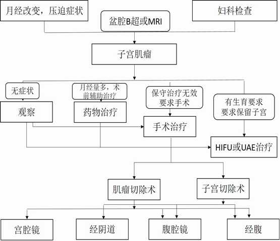 每年一次的妇科检查非常重要,通过妇检联合盆腔或者经阴超声就可以