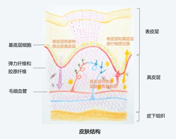 李远宏主任医师-爱问医生