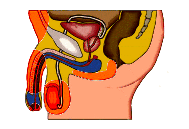 咖啡,这些会让精子味道更苦更糟糕;每
