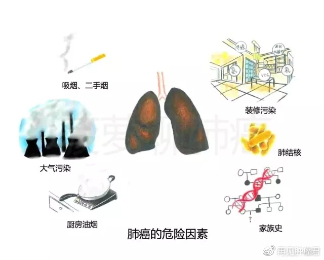 了解肺癌的真相,科学防癌,精准治癌