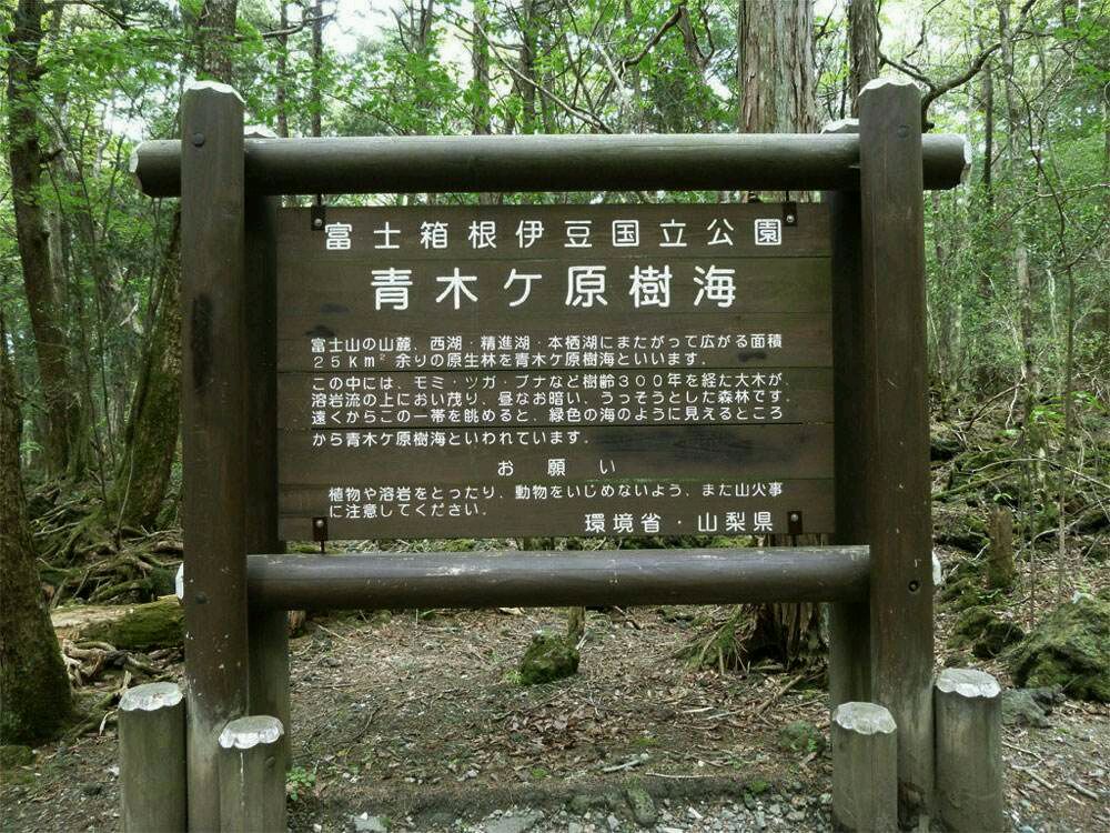 黑树人口_人口普查